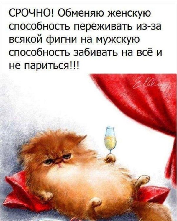 женский юмор