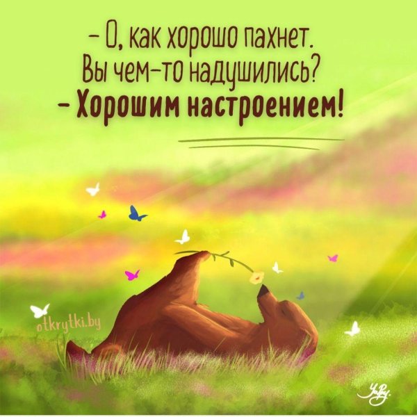 цитаты веселые