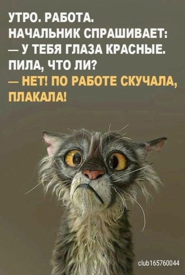 по работе скучала плакала