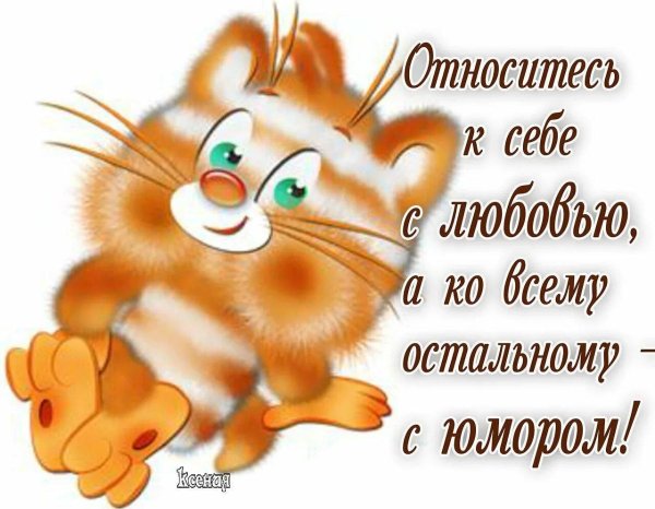 относись к себе с любовью к остальному с юмором