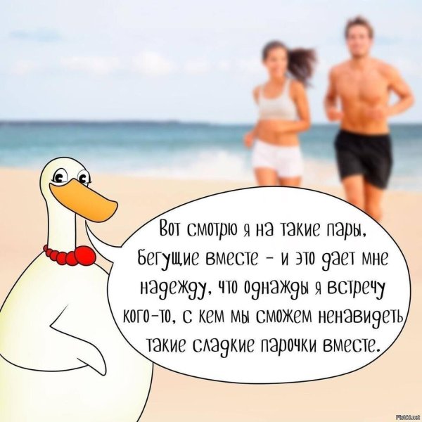 гусь прикольный