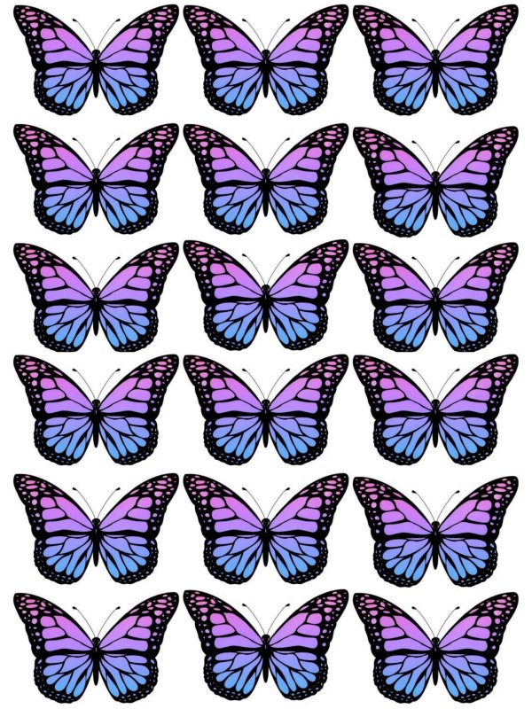 бабочки цветные шаблоны