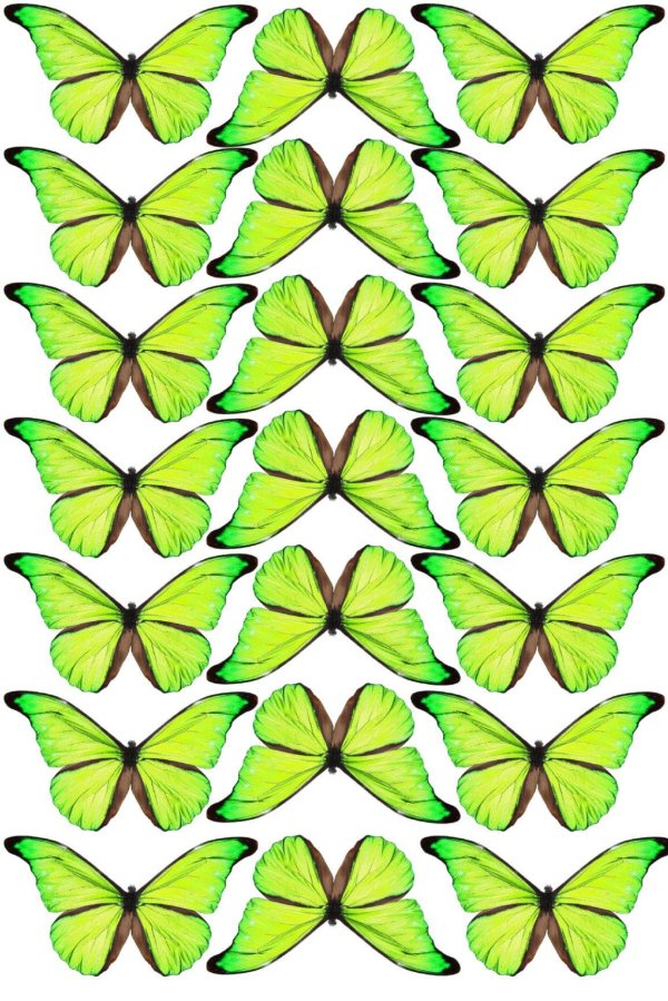 зеленая бабочка