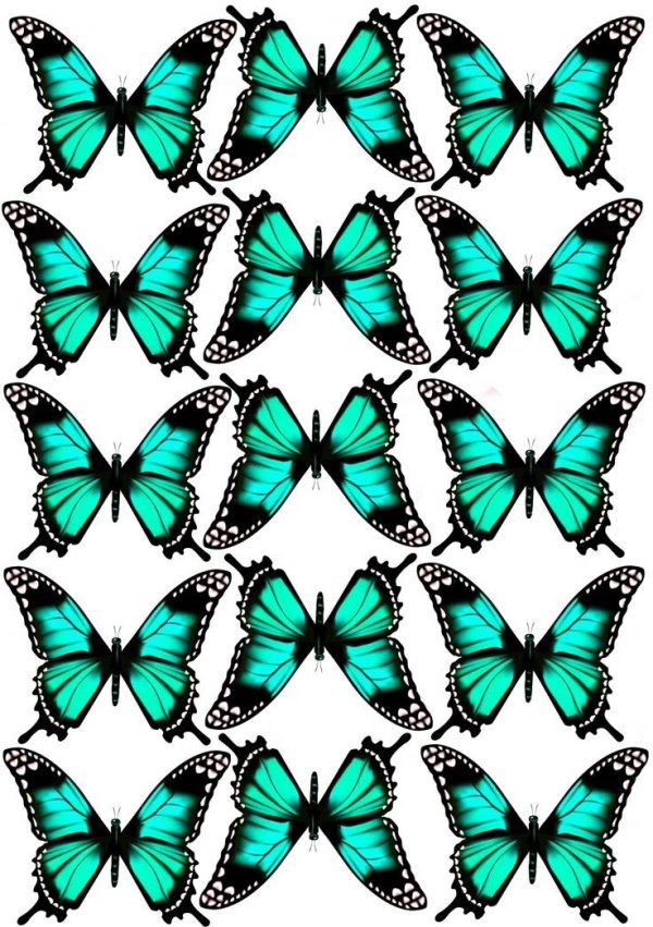 бабочки бирюзовые для печати