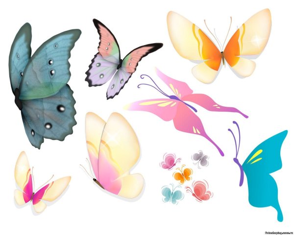 клипарт бабочка