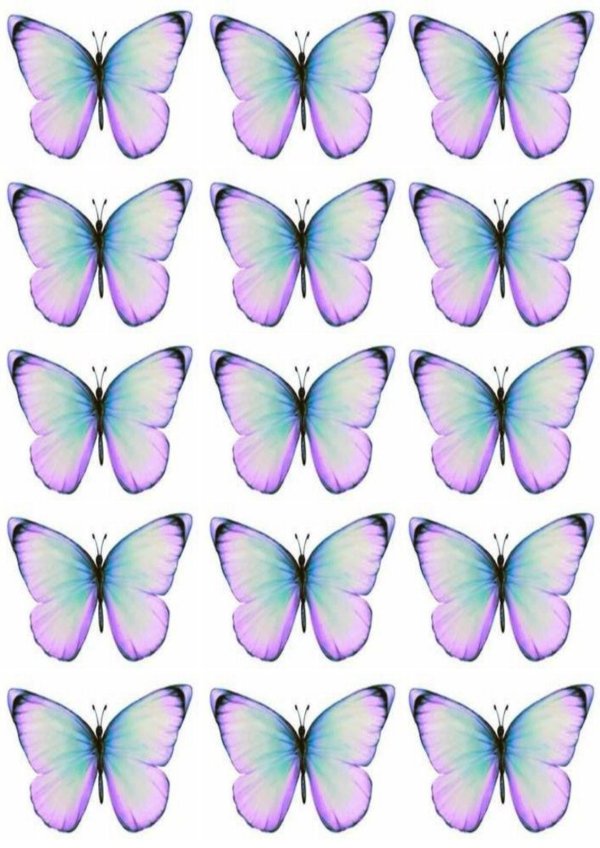 бабочки сахарная печать