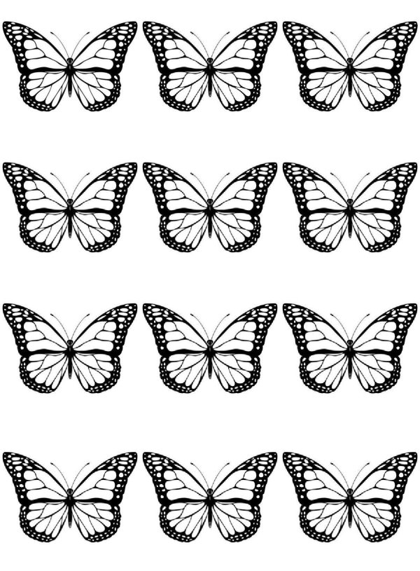 шаблон бабочек