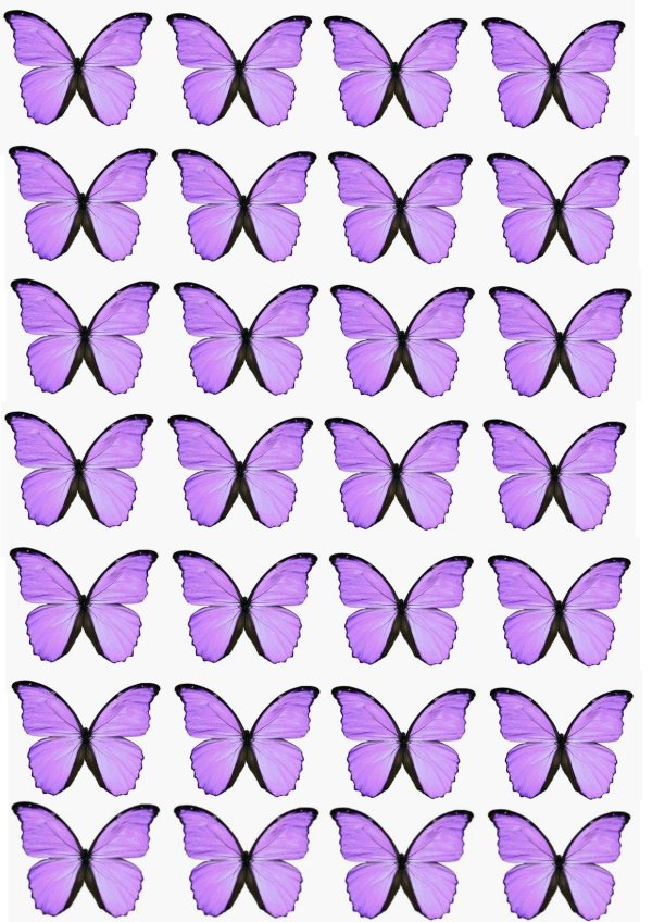 бабочка сиреневая