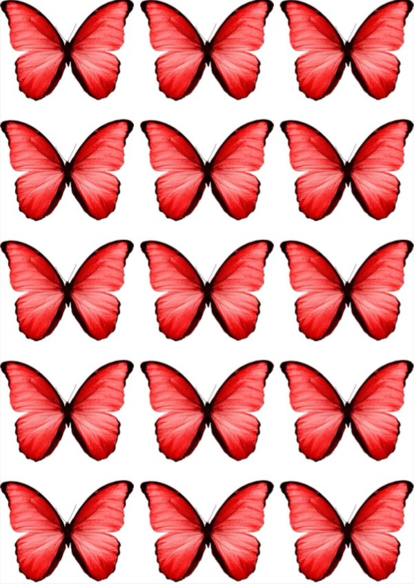 бабочка красная