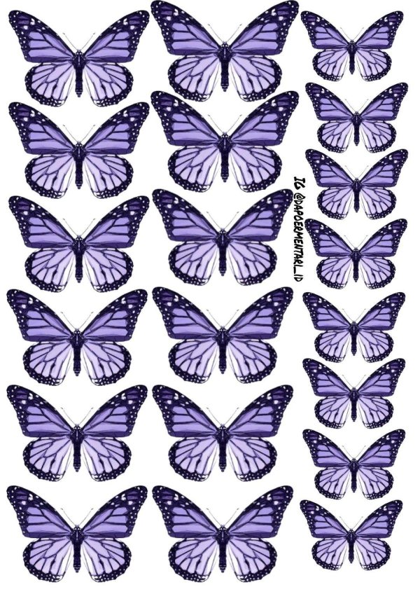 шаблоны сиреневых бабочек