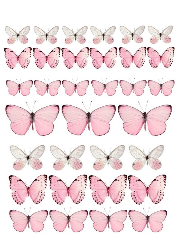 бабочка розовая