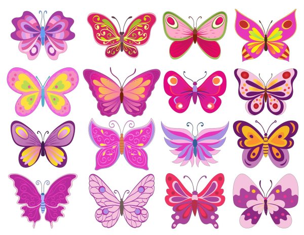 цветная бабочка