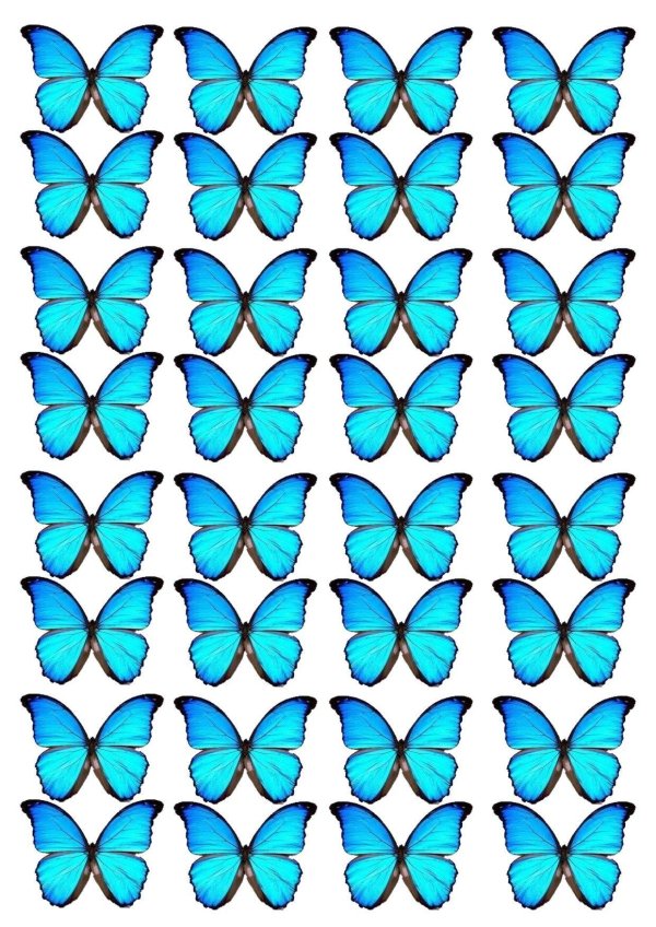 шаблон бабочек