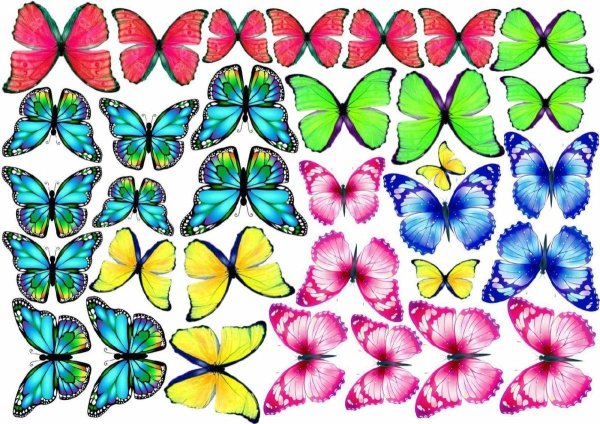 бабочки на сахарной бумаге