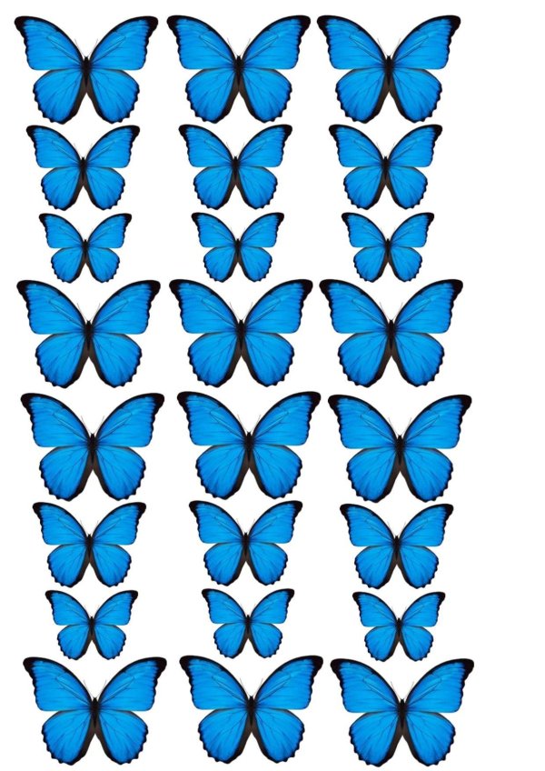 Бабочки для оформления