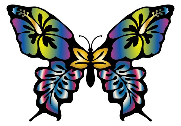 красочная бабочка