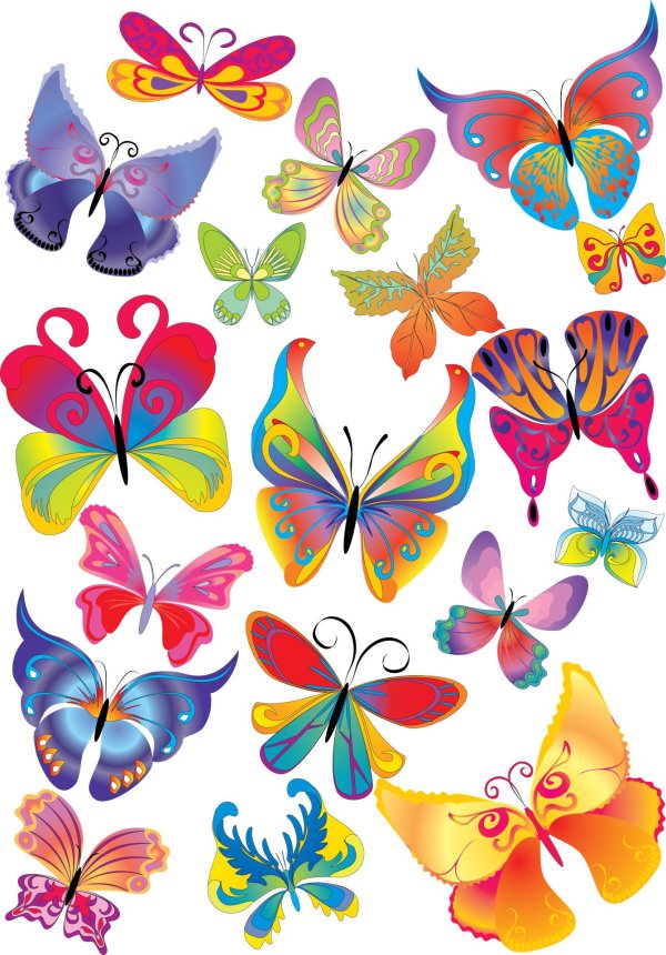 рисунки бабочек