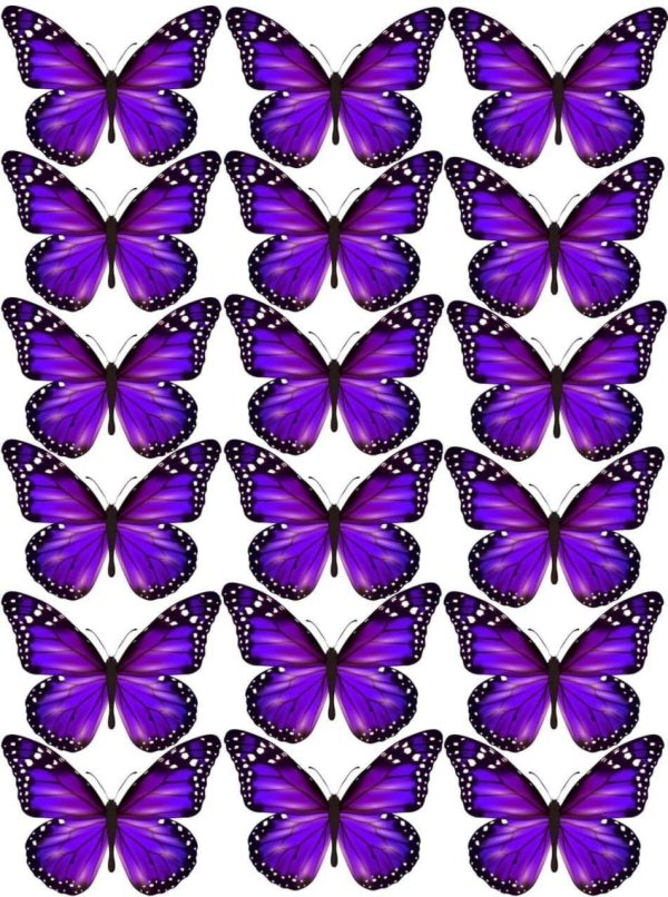 бабочка для распечатки