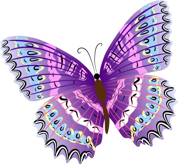 бабочка фиолетовая