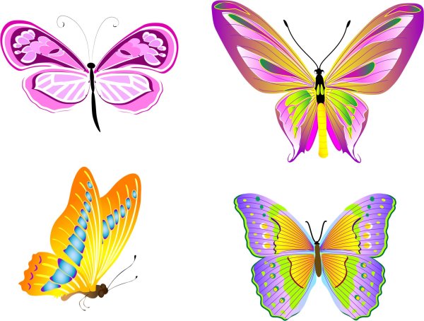 клипарт бабочка