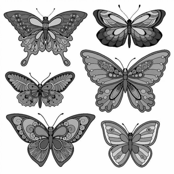 бабочка эскиз