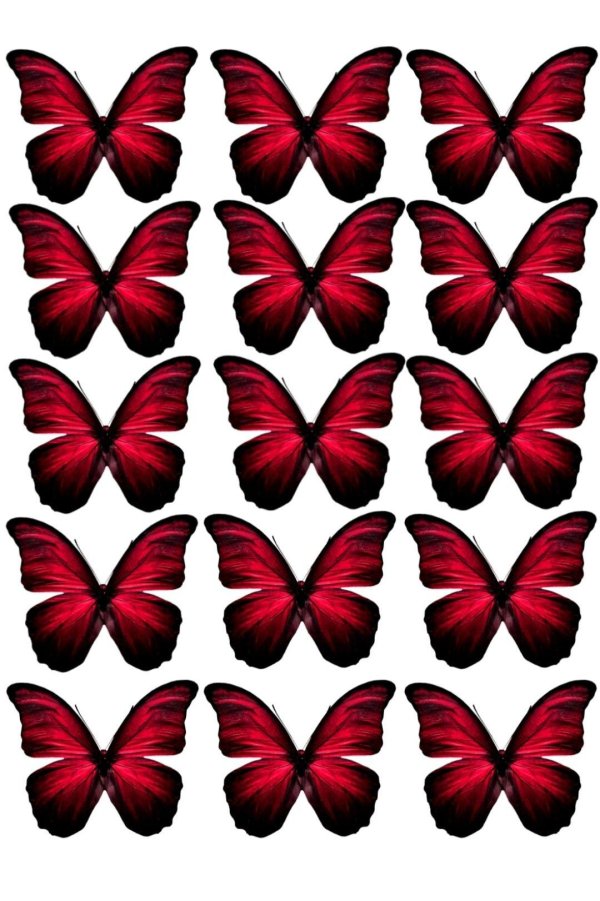 бабочка красная