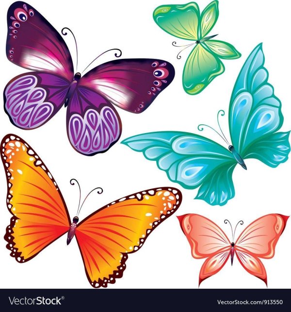 бабочки цветные шаблоны