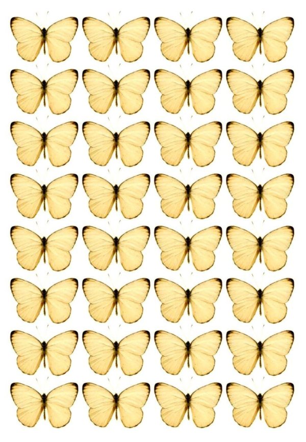 бабочки на вафельной бумаге