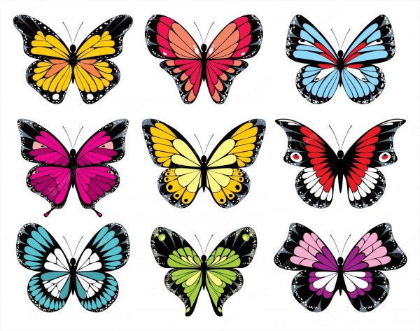 красивая бабочка рисунок