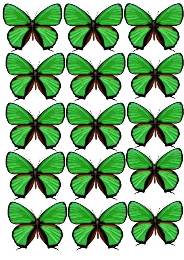 шаблон бабочек