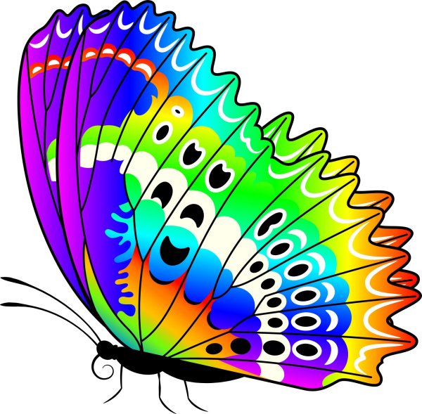 радужные бабочки