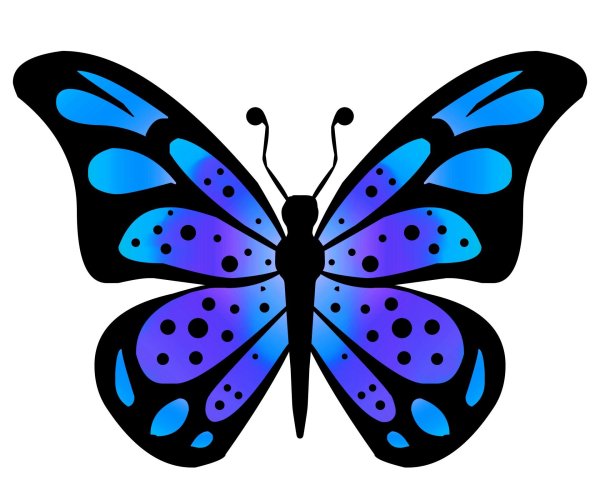 рисунки бабочек