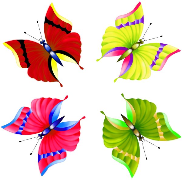 бабочка разноцветная