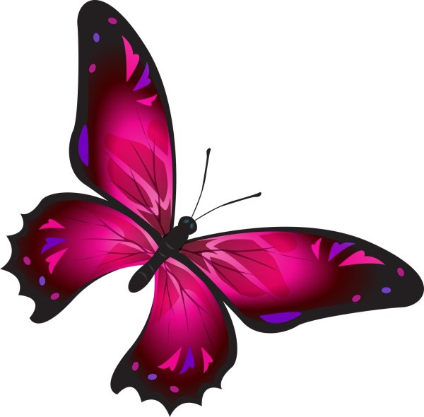 сиреневая бабочка