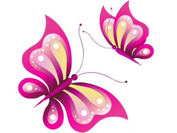 бабочка розовая