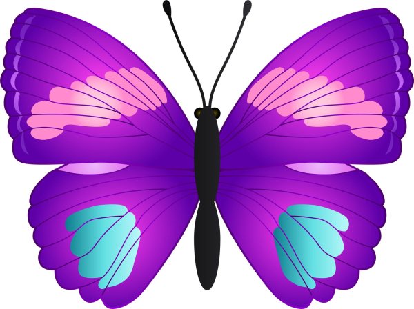 бабочки фиолетовые для печати