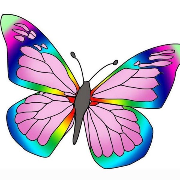 рисунки бабочек