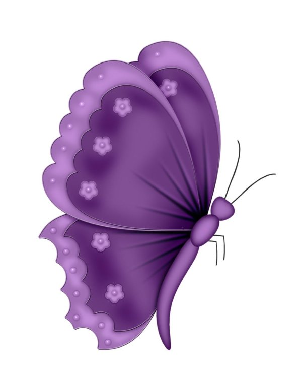 рисунки бабочек