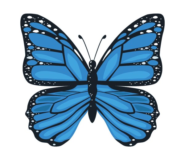 голубая бабочка