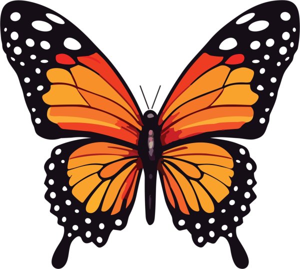 оранжевая бабочка