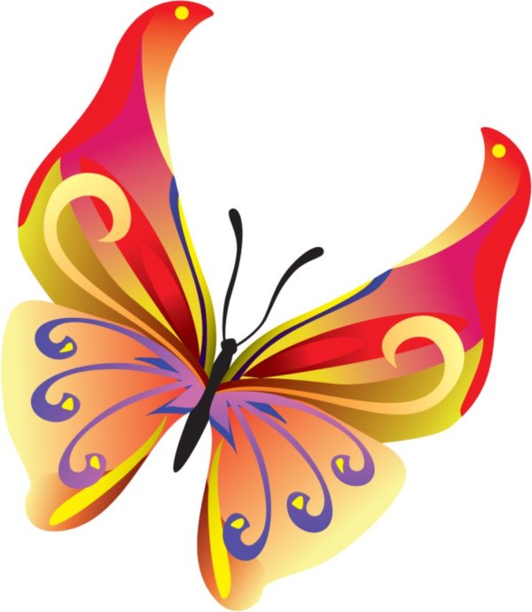 бабочка рисунок на прозрачном фоне
