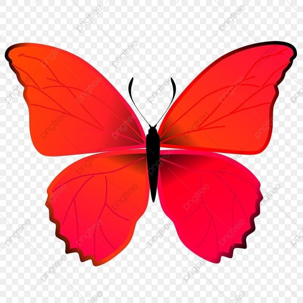 бабочки красные для печати