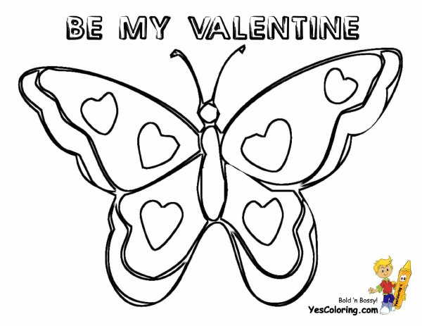 раскраска бабочек