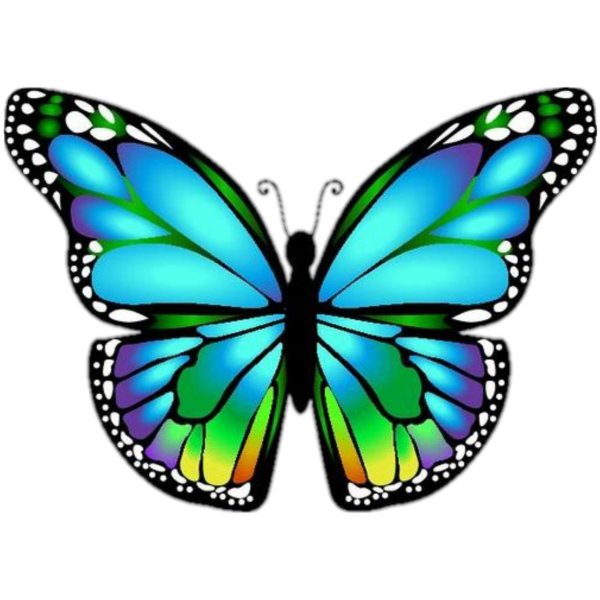 бабочки для распечатки цветные