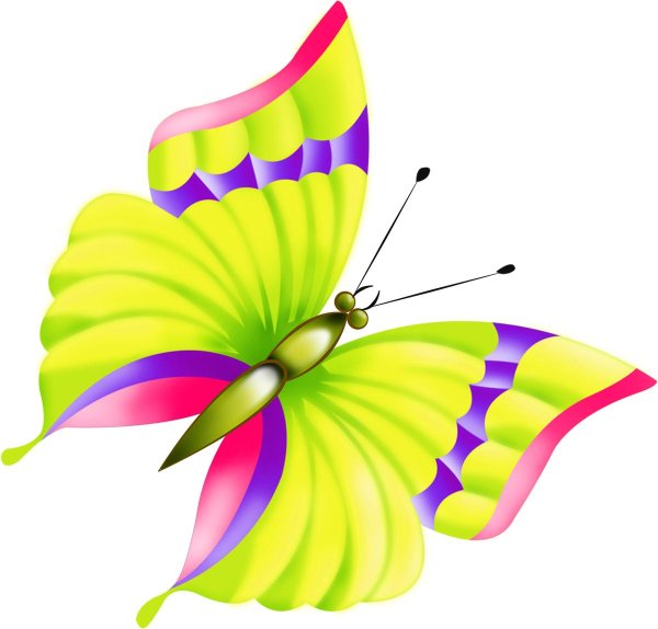 бабочка клипарт на прозрачном фоне