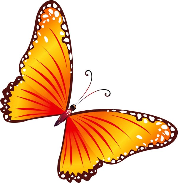 бабочка рисунок на прозрачном фоне