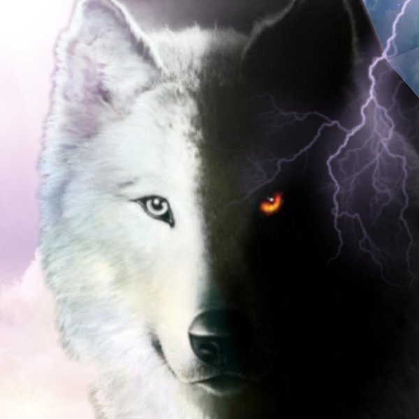 волки крутые