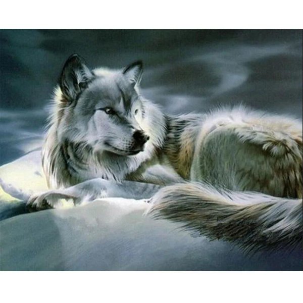 красивая волчица