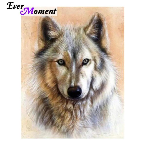 портрет волка