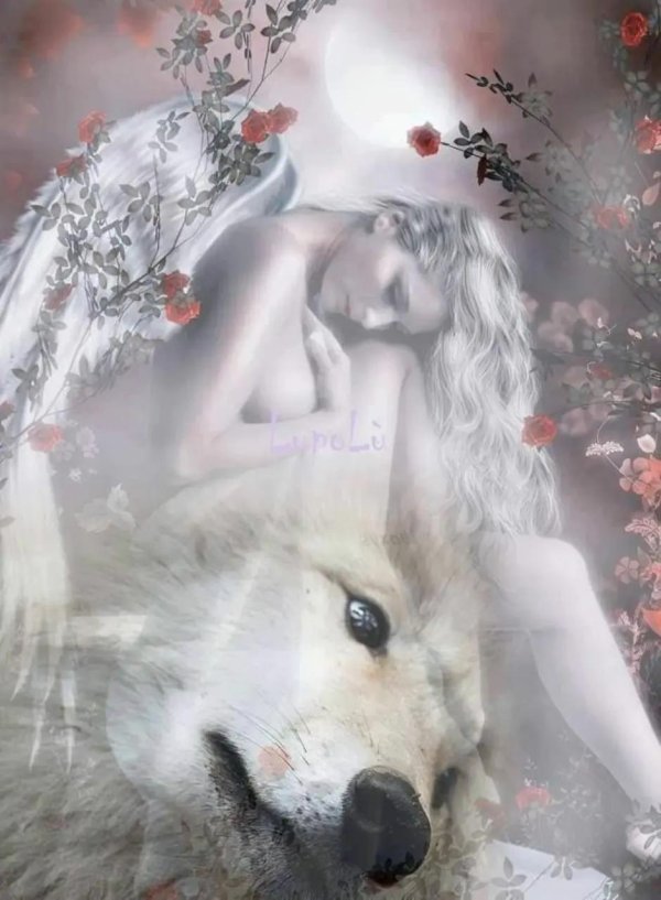 волки фэнтези